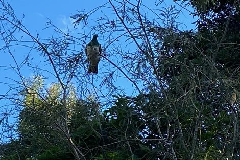 Photo of property in 36 Makahika Road, Levin, 5571