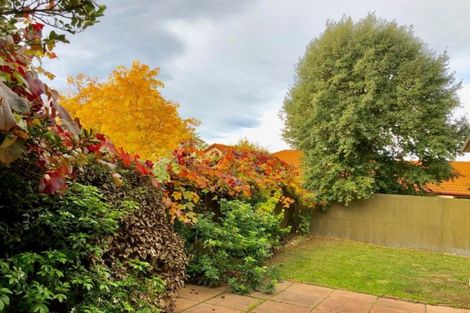 Photo of property in 124b Ashley Street, Rangiora, 7400