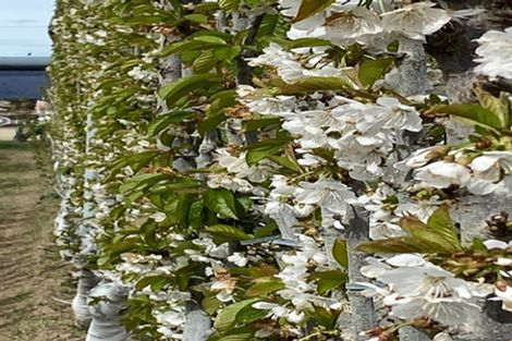 Photo of property in 592 Springvale Road, Springvale, Alexandra, 9393