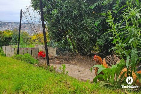 Photo of property in 139 Forfar Street, Clyde Hill, Dunedin, 9011