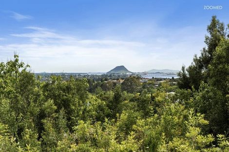 Photo of property in 3175l Ohauiti Road, Ohauiti, Tauranga, 3173