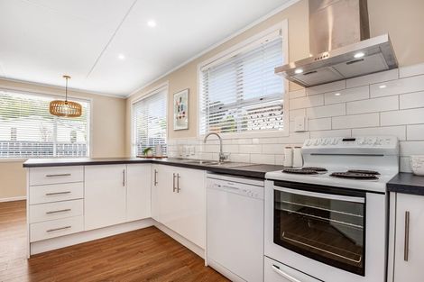 Photo of property in 58 Desert Gold Street, Ascot Park, Porirua, 5024