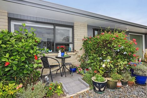 Photo of property in 2/507 Eastbourne Street East, Hastings, 4122