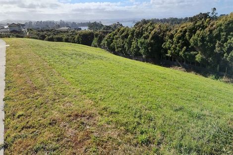 Photo of property in 4 Wheriko Avenue, Glenbrook, 2681