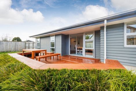 Photo of property in 96a Sherwill Street West, Feilding, 4702