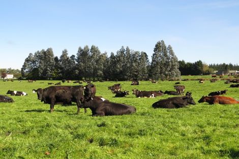 Photo of property in 1103 Woodlands Invercargill Highway, Woodlands, Invercargill, 9871