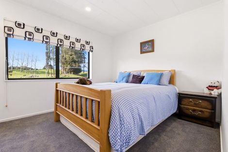 Photo of property in 181 Otapouri Road, Owhango, 3989