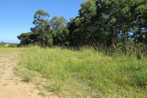 Photo of property in 1090 Driving Creek Road, Coromandel, 3583