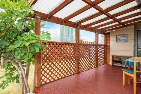 Photo of property in 10a Braemar Street, Levin, 5510