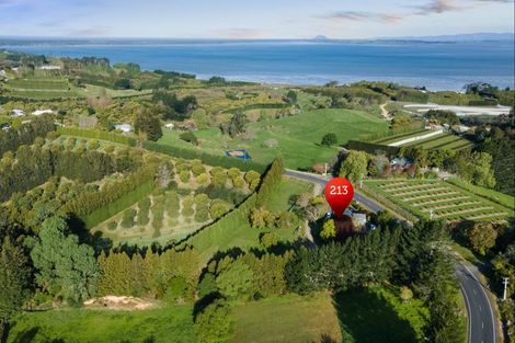 Photo of property in 213 Kauri Point Road, Tahawai, Katikati, 3170