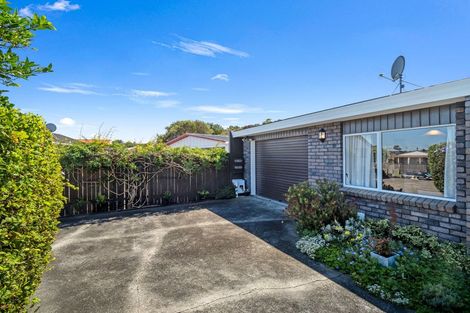 Photo of property in 54b Treadwell Street, Springvale, Whanganui, 4501