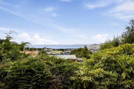 Photo of property in 64 Mckerrow Street, Shiel Hill, Dunedin, 9013