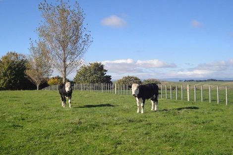 Photo of property in 1644 Cheltenham Hunterville Road, Waituna West, Rewa, 4780
