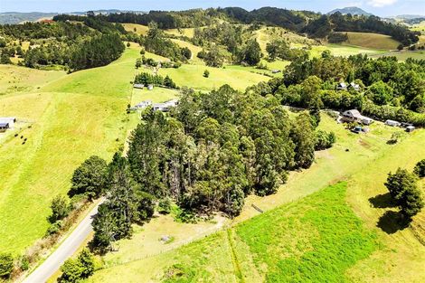 Photo of property in 307 Whananaki North Road, Opuawhanga, Hikurangi, 0181