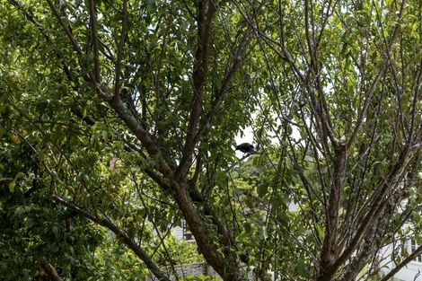 Photo of property in 4a Clerke Place, Marfell, New Plymouth, 4310