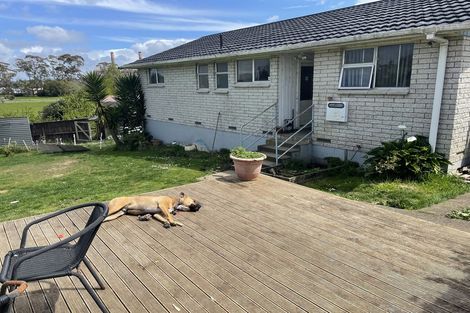 Photo of property in 31 Gavin Place, Huntly, 3700