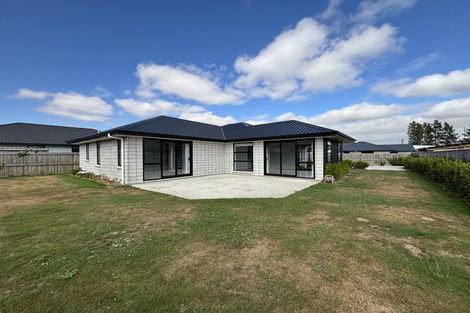 Photo of property in 21 Mcnabb Place, Witherlea, Blenheim, 7201