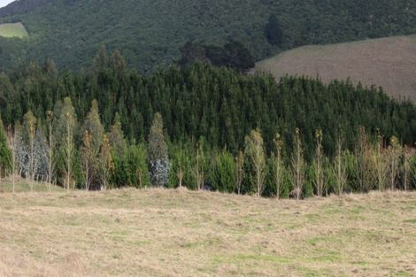 Photo of property in 45 Charnley Way, Kinloch, Taupo, 3385