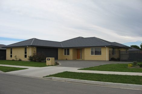 Photo of property in 8 Harakeke Place, Redwoodtown, Blenheim, 7201