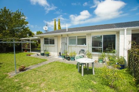 Photo of property in 49 Oak Street, Mangapapa, Gisborne, 4010