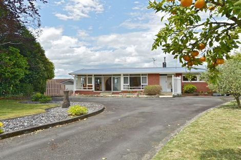 Photo of property in 132 Puriri Park Road, Maunu, Whangarei, 0110