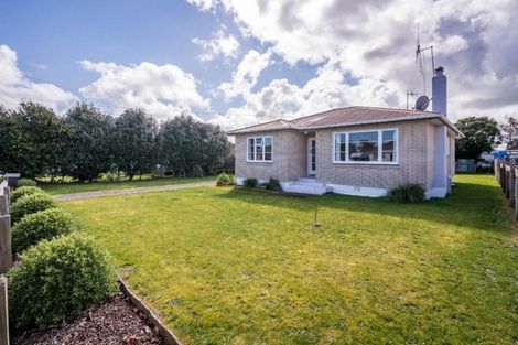 Photo of property in 25 Middlesex Street, Levin, 5510
