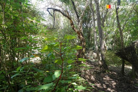 Photo of property in 101 Coast Road, Warrington, Waikouaiti, 9471