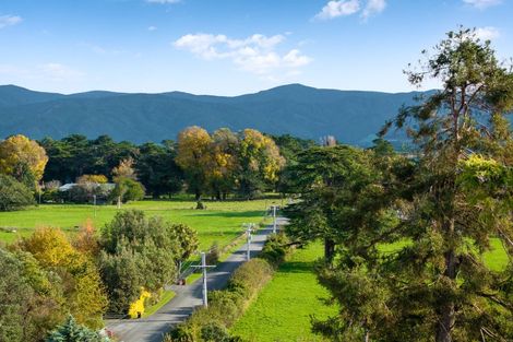 Photo of property in 93 Kuratawhiti Street, Greytown, 5794