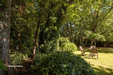 Photo of property in 41 New Renwick Road, Burleigh, Blenheim, 7201