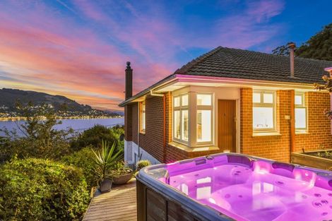 Photo of property in 10 Irvine Road, The Cove, Dunedin, 9077