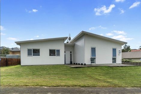 Photo of property in 31 Hartis Avenue, Huntly, 3700
