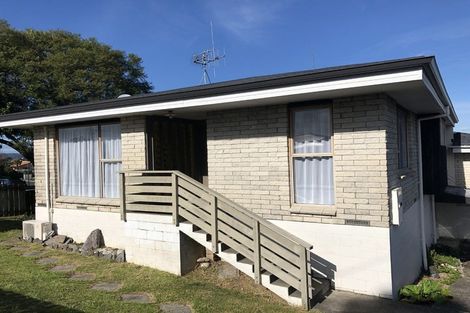 Photo of property in 172a Ngatai Road, Otumoetai, Tauranga, 3110