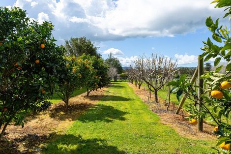 Photo of property in 1343 Kahikatea Flat Road, Kaukapakapa, 0871