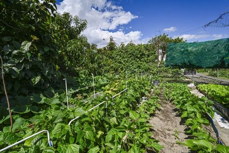 Photo of property in 309 Lovedale Road, Saint Leonards, Hastings, 4120