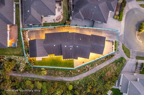 Photo of property in 62 Banks Boulevard, Whitby, Porirua, 5024