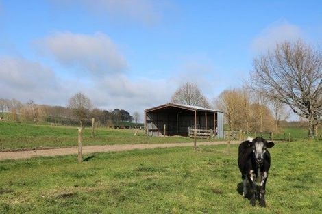 Photo of property in 29 Arapuni Road, Arapuni, Putaruru, 3415