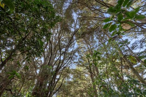 Photo of property in 454 Ngunguru Road, Glenbervie, Whangarei, 0173