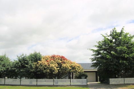 Photo of property in 52 Young Street, Morrinsville, 3300