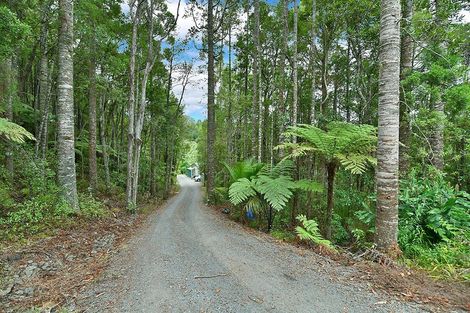 Photo of property in 335 Kanohi Road, Kaukapakapa, 0873