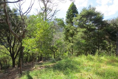 Photo of property in 395a Driving Creek Road, Coromandel, 3506