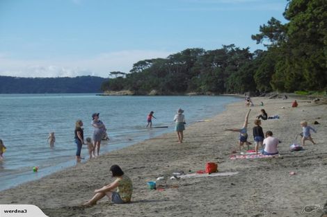 Photo of property in 11f Joan Street, Point Chevalier, Auckland, 1022