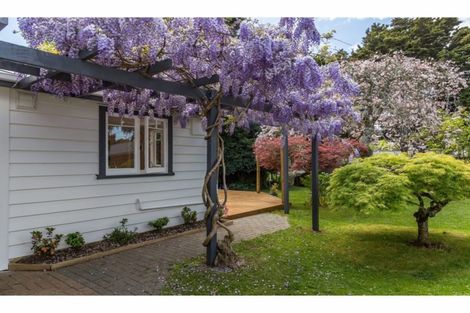 Photo of property in 6 Campbell Drive, Warkworth, 0910