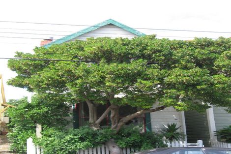 Photo of property in 13 Wright Street, Mount Cook, Wellington, 6021