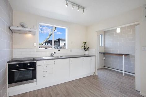 Photo of property in 183 Hastings Street East, Waltham, Christchurch, 8023