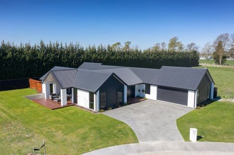 Photo of property in 16 Kelburn Place, Tinwald, Ashburton, 7700