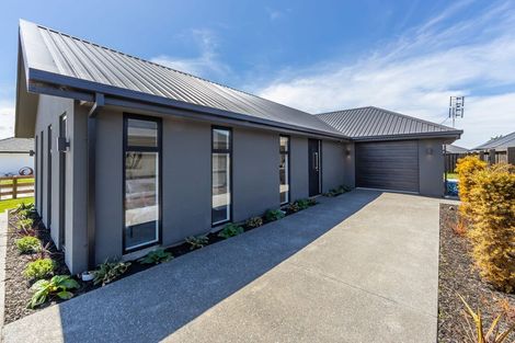 Photo of property in 3 Nathaniel Archer Street, Woodend, 7610