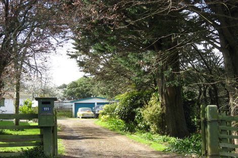 Photo of property in 111 Roslyn Road, Levin, 5510