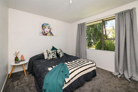 Photo of property in 24 Fergusson Street, Marton, 4710