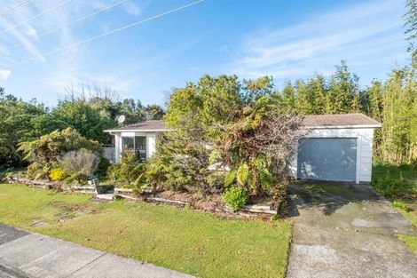 Photo of property in 119 Pembroke Road, Stratford, 4332