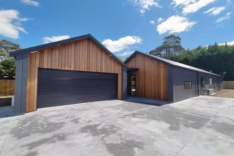 Photo of property in 59b Pharazyn Street, Feilding, 4702